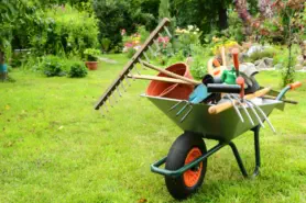 Gartenpflege und -gestaltung vom Fachmann